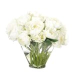 Peony Cut Flower