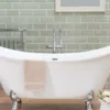 Modern Bathtub